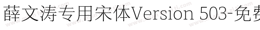 薛文涛专用宋体Version 503字体转换